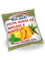 Polpa de Abacaxi/hortelã 10 x 100 Gr Ricaeli